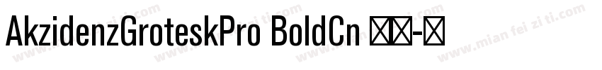 AkzidenzGroteskPro BoldCn 粗体字体转换